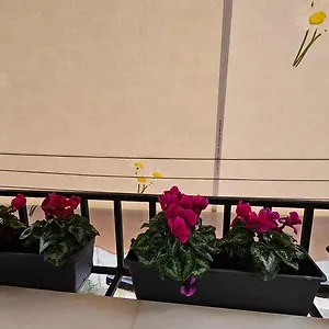  Apartment Center Albania